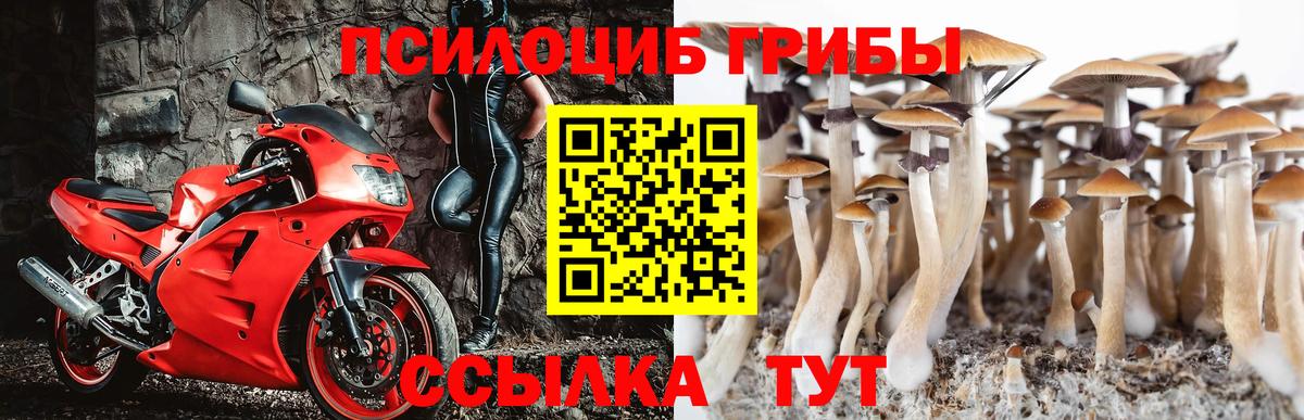 Псилоцибиновые грибы Magic Shrooms  Вход с VPN  Железноводск 